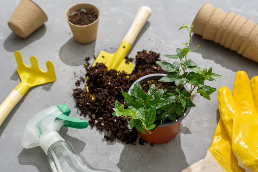 Création d'un potager urbain : cultiver la ville autrement