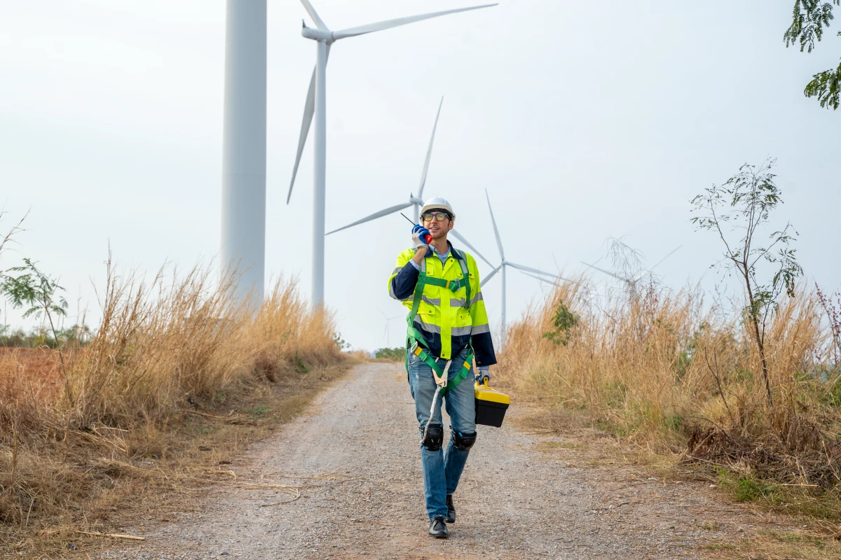 Rénovation énergétique en copropriété : Un défi majeur pour l'habitat ancien