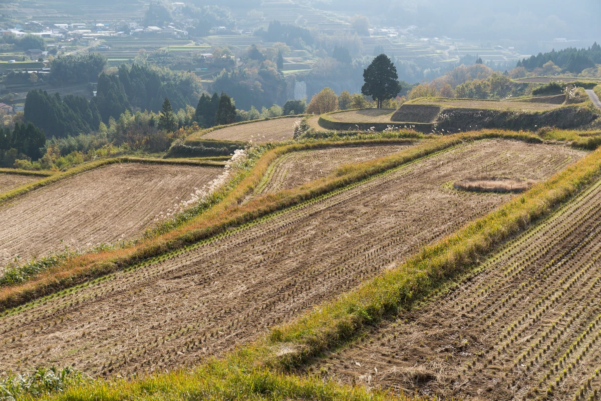 Ruée vers la campagne : L'envolée spectaculaire des prix de l'immobilier rural